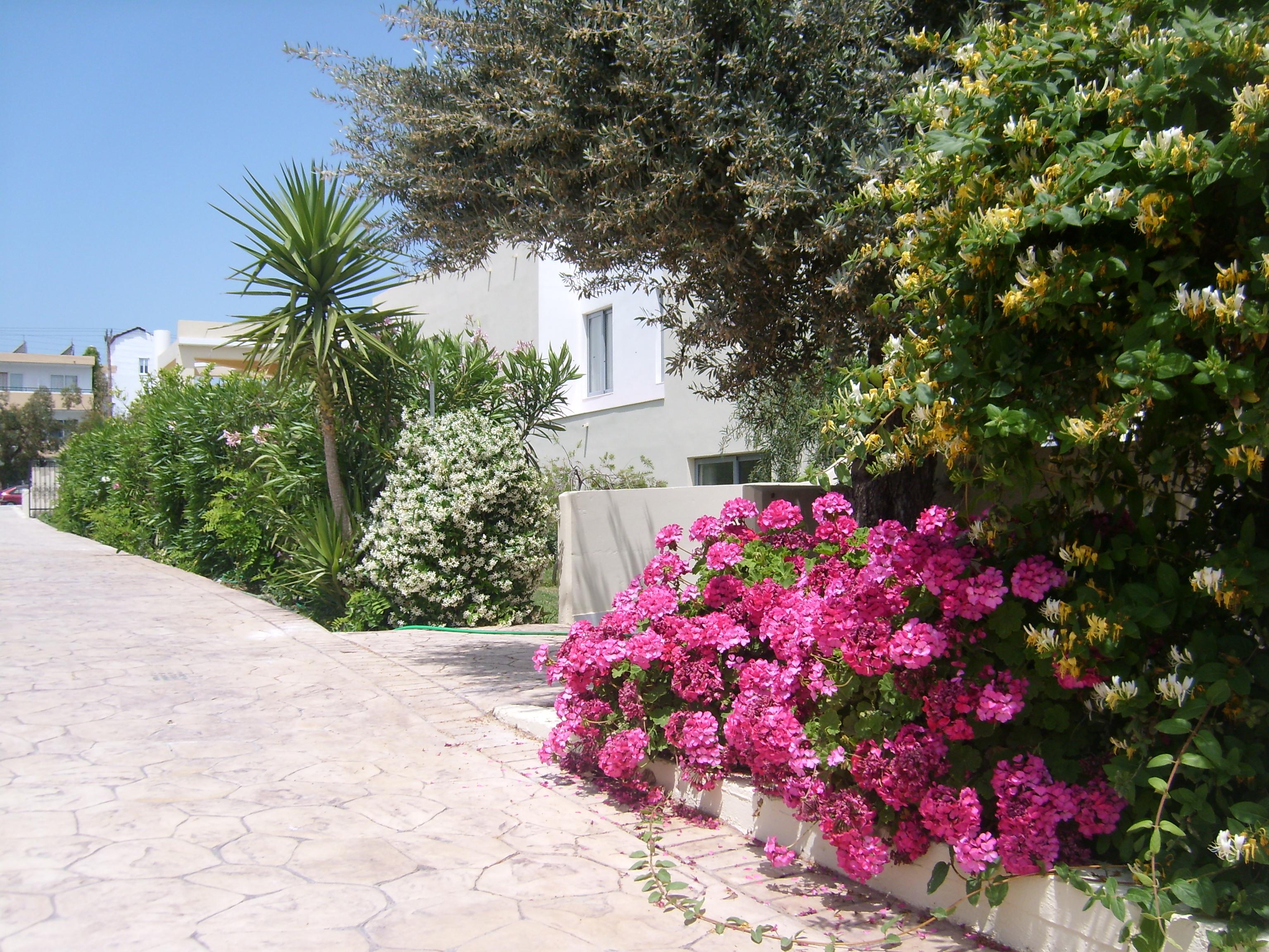 Memphis Beach Hotel Kolymbia Exterior foto